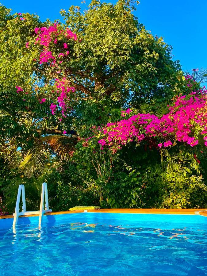 Villa Nature Caraibe Lodge, Vue Mer, Piscine Privee Deshaies Bagian luar foto