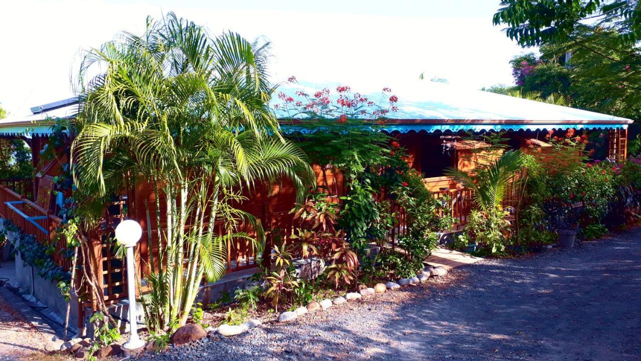 Villa Nature Caraibe Lodge, Vue Mer, Piscine Privee Deshaies Bagian luar foto