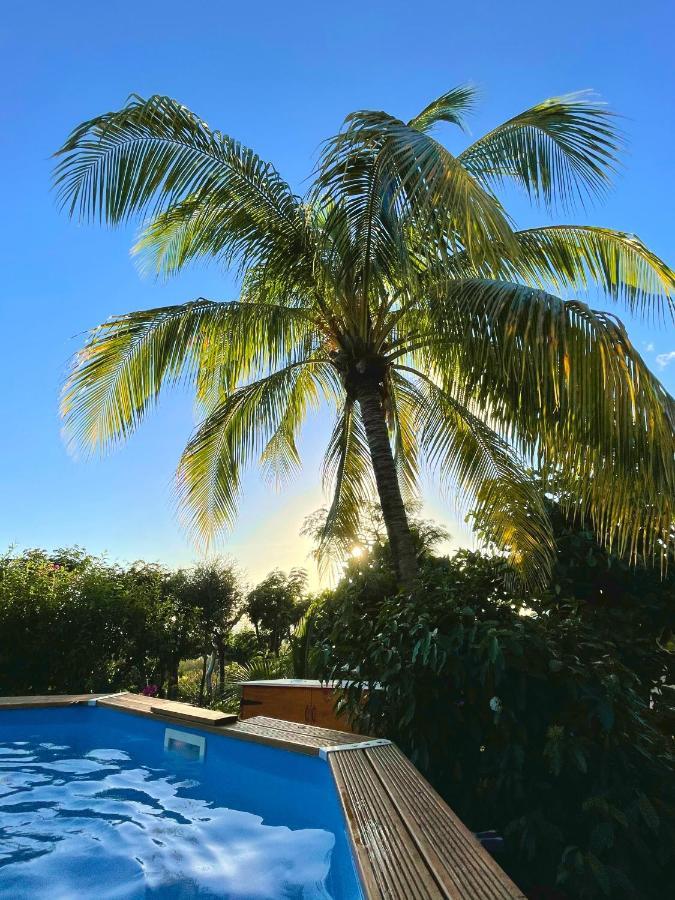 Villa Nature Caraibe Lodge, Vue Mer, Piscine Privee Deshaies Bagian luar foto