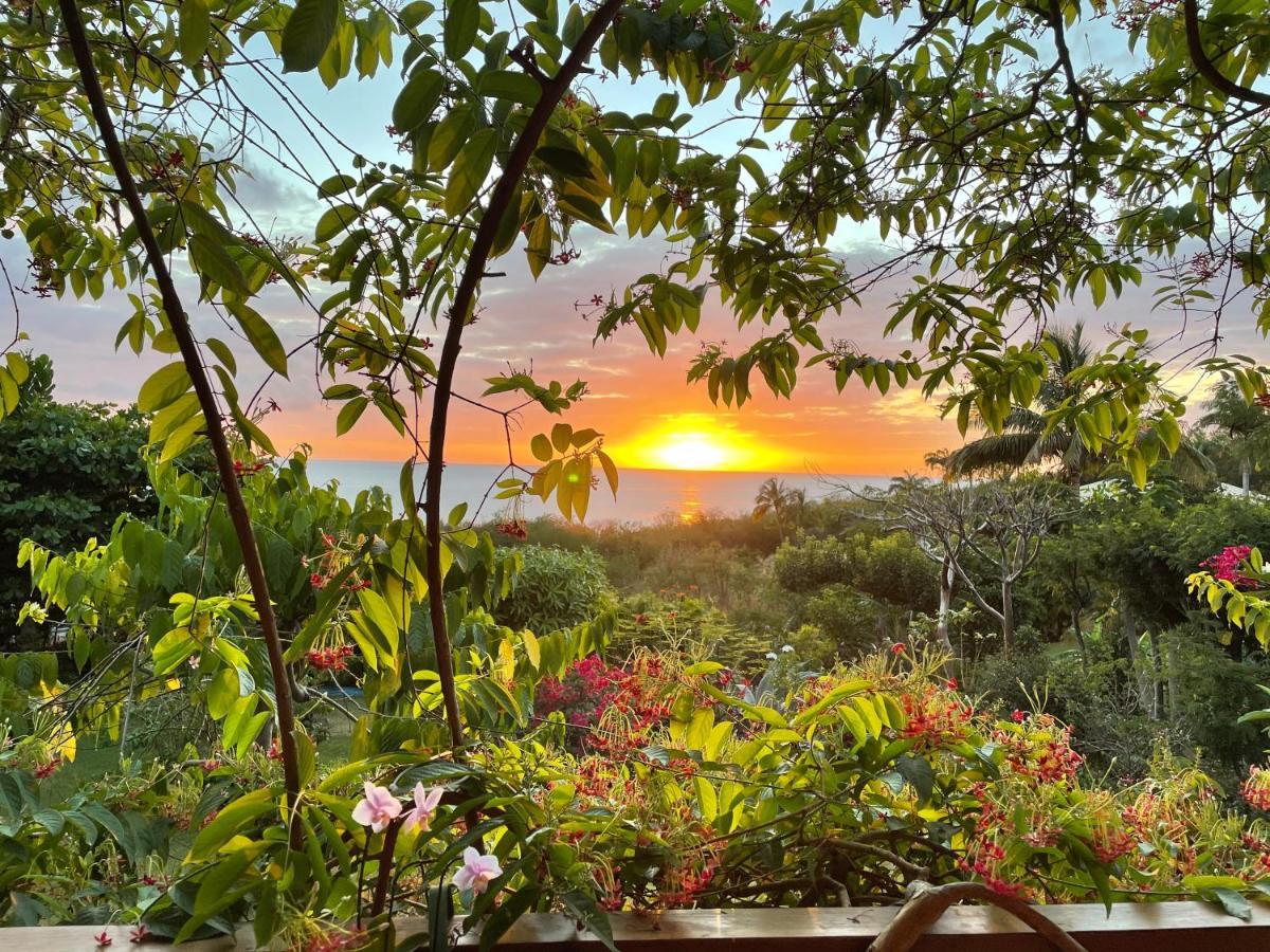 Villa Nature Caraibe Lodge, Vue Mer, Piscine Privee Deshaies Bagian luar foto