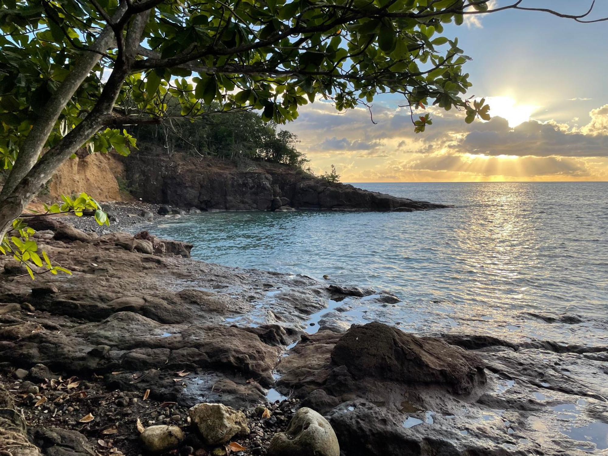 Villa Nature Caraibe Lodge, Vue Mer, Piscine Privee Deshaies Bagian luar foto